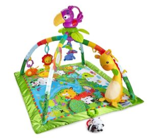 highly recommended 3 month old infant toys